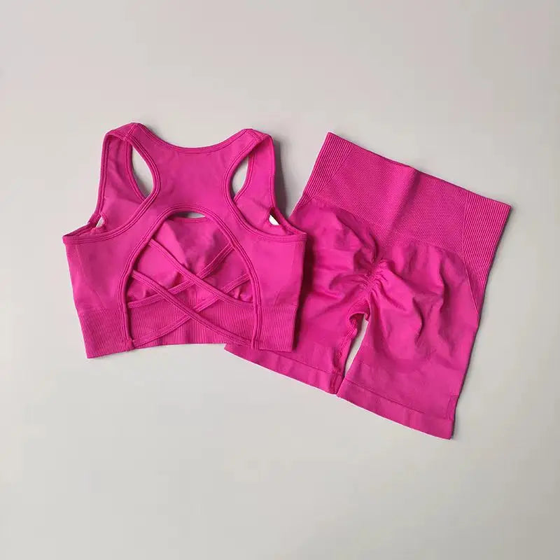 2 PCS Women's Seamless Yoga Set